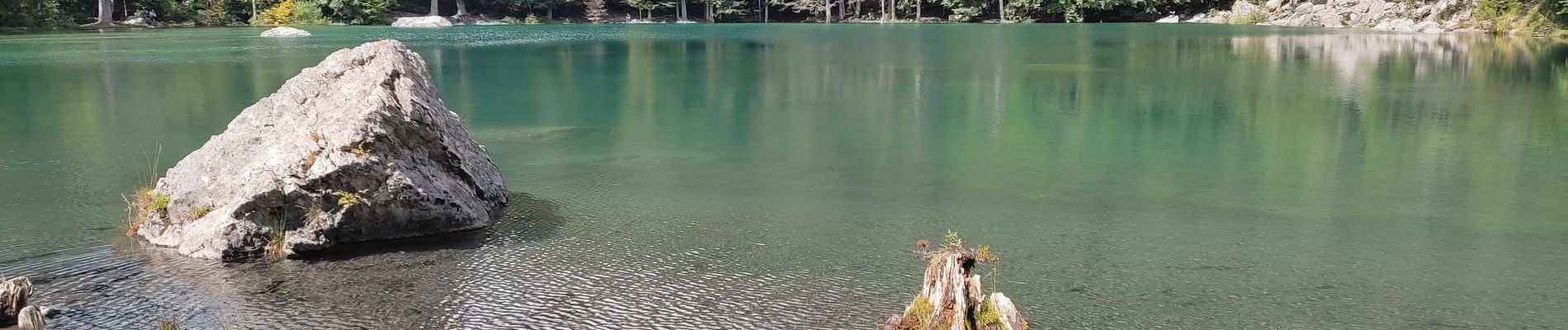 Tour Wandern Les Houches - Gorges Diosaz, Lac Vert  - Photo