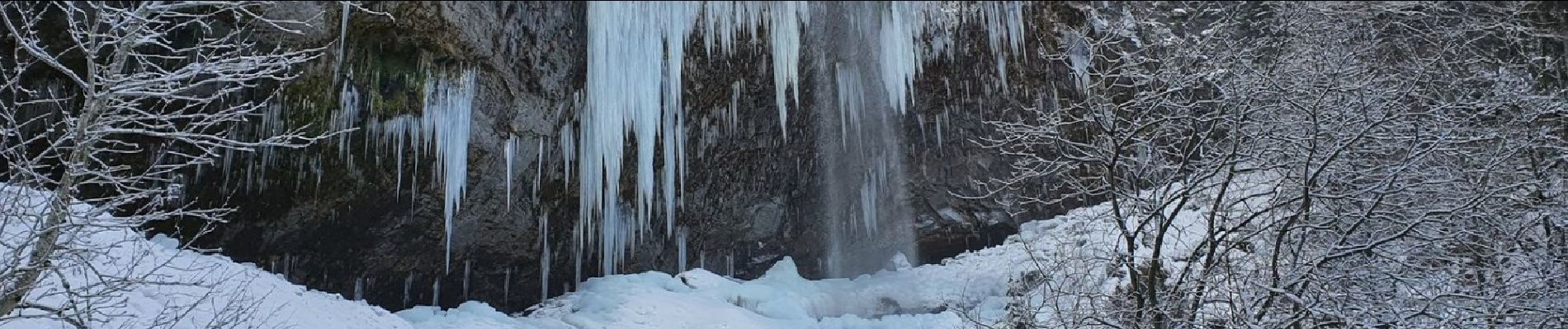 Tocht Stappen Mont-Dore - Cascades7 - Photo