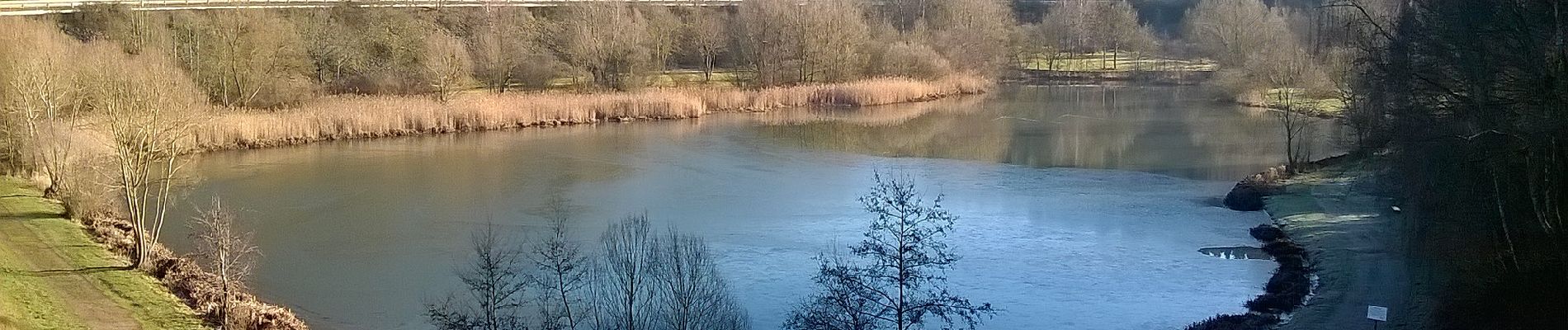 Excursión A pie Bad Münstereifel - EifelSchleife Um den Langen Kopf - Photo