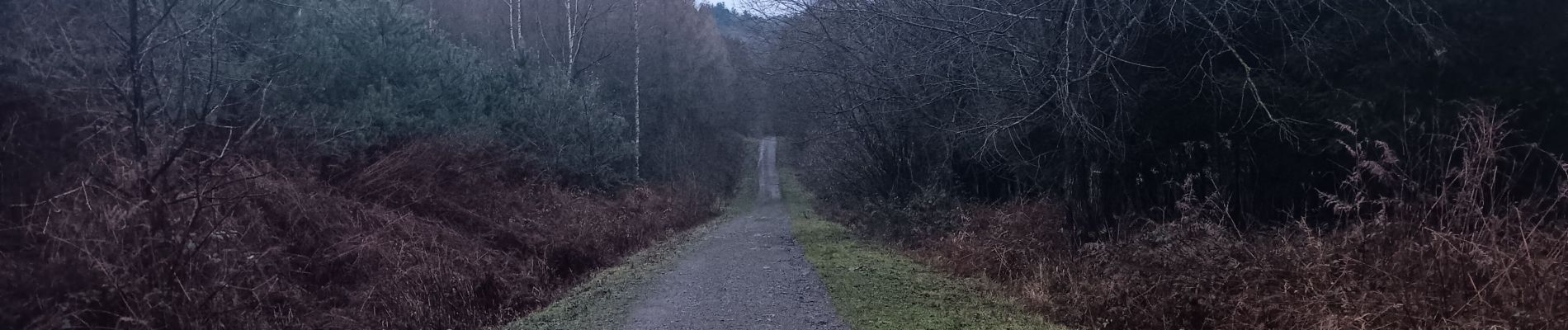 Tocht Stappen Luik - quyntifyon à boncelles  - Photo