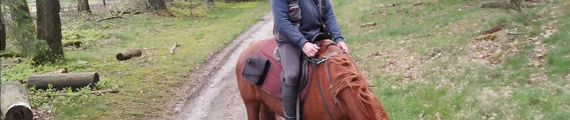 Tocht Paardrijden Lierneux - C A 2024 Bra - Photo