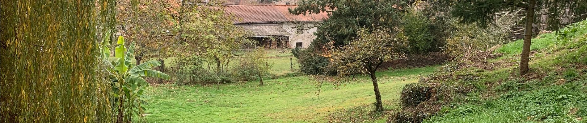 Randonnée Marche Renaison - Autour de renaison - Photo