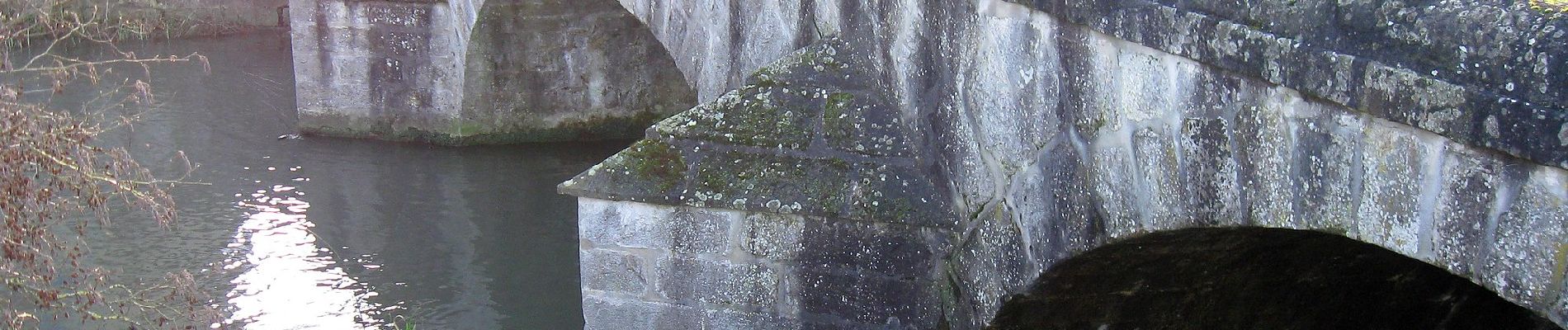 Tour Zu Fuß Moret-Loing-et-Orvanne - Entre Loing et Orvanne - Photo