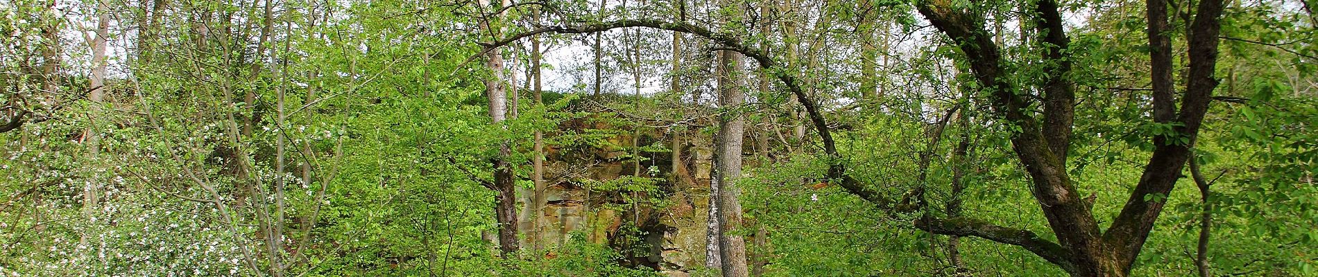 Randonnée A pied Weikersheim - Höhenweg Bronn-Honsbronn - Photo