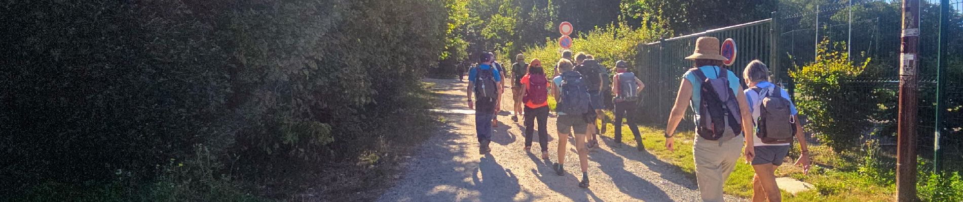 Randonnée Marche Versailles - Boucle 19 km Versailles - Meudon + Hangar Y - Photo