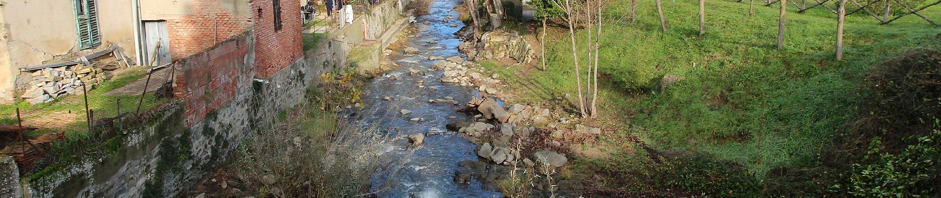 Percorso A piedi Montevarchi - sent. 41 - Photo