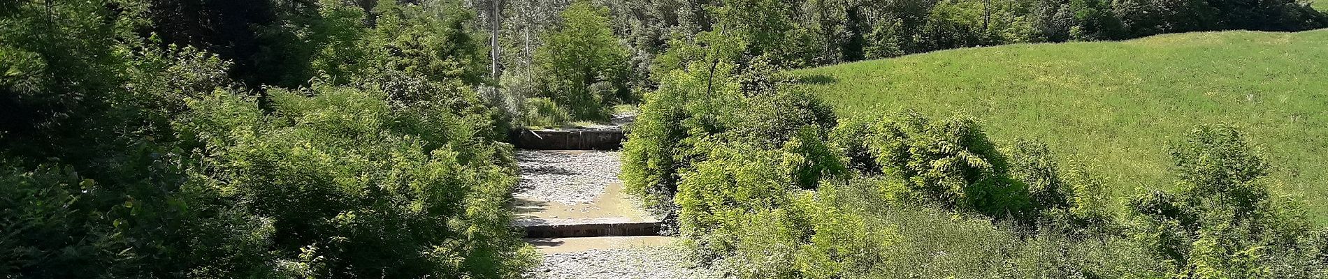 Tour Zu Fuß Pianello Val Tidone - Chiarone - Rio Tinello - Rocca d'Olgisio - Chiarone - Photo