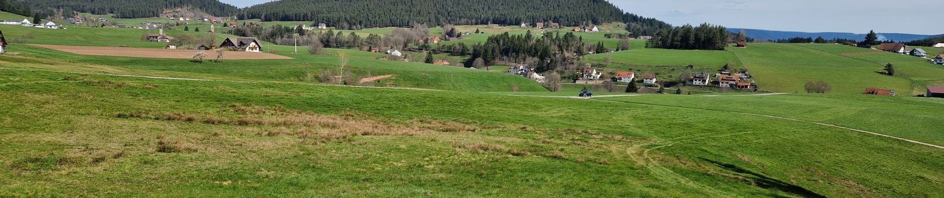 Trail Walking Lauterbach - Kappelehof - Photo