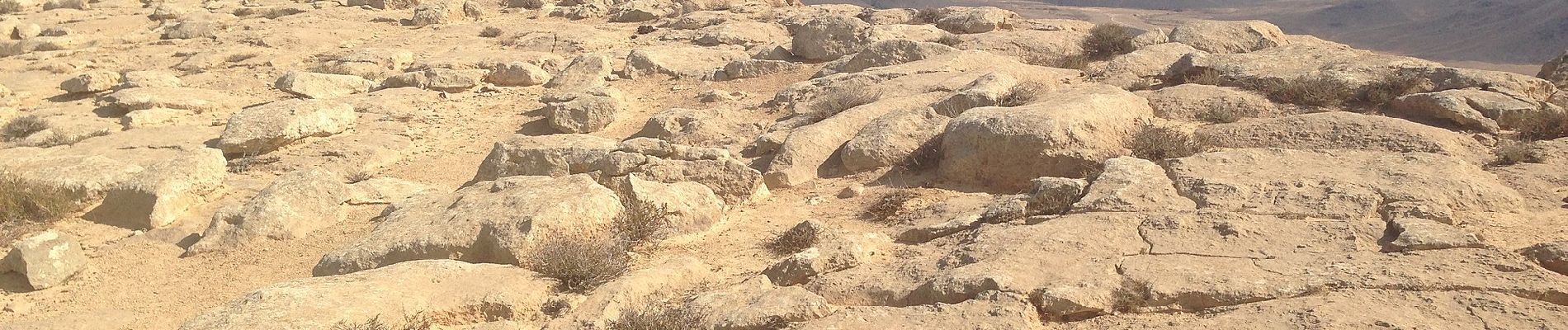 Randonnée A pied Conseil régional de Ramat Negev - IL-18232 - Photo