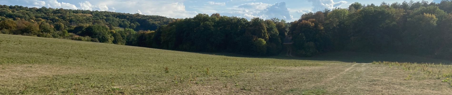 Tocht Stappen Neurey-lès-la-Demie - Balade entre les non uns et sainte Anne  - Photo