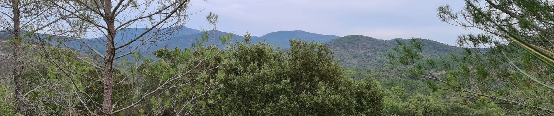 Randonnée Marche Bagnols-en-Forêt - barrage de Malpasset par la Gardiette - Photo