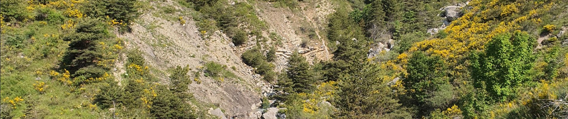 Tour Wandern La Robine-sur-Galabre - 16-06-2023  Ainac Lambert - La Petite Cloche  - Photo