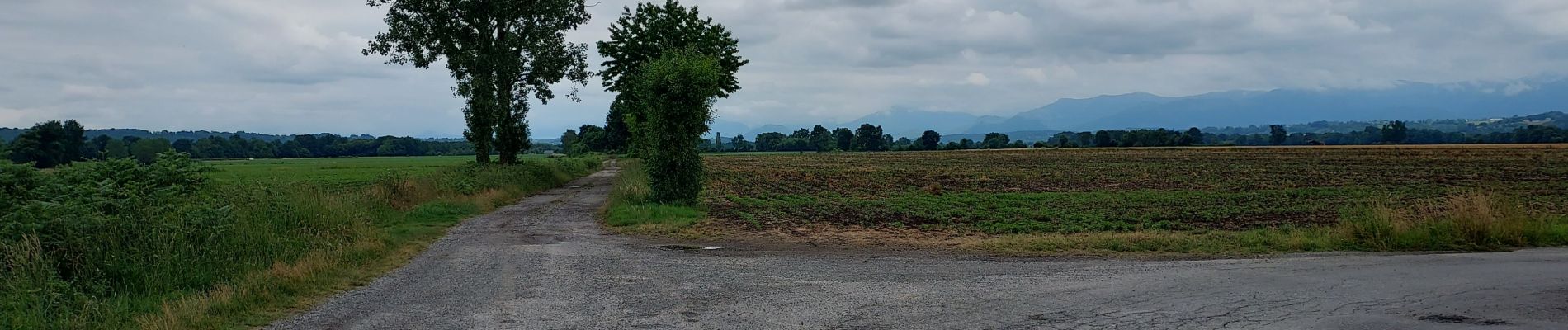 Randonnée Marche Livron - Livron Rs vershourssimplifié - Photo