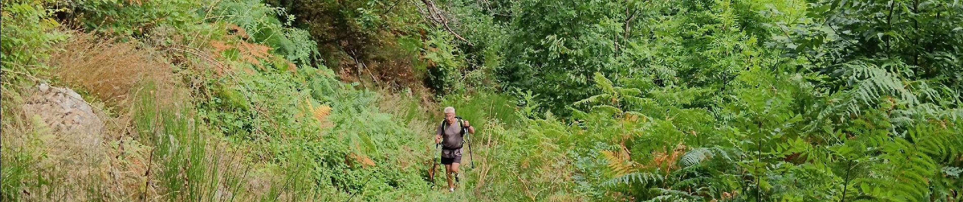 Trail Walking Belsentes - 20240815 - Photo