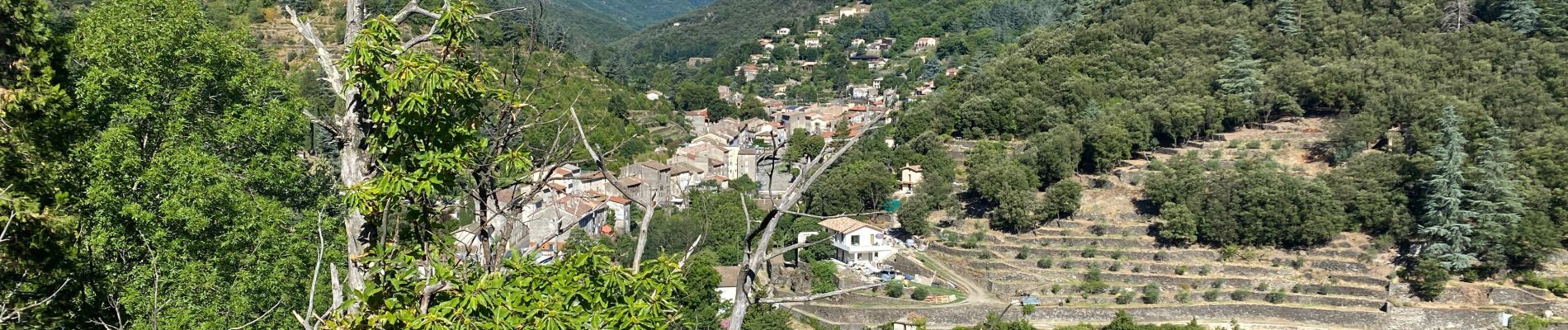 Excursión Bici de montaña Val-d'Aigoual - Fait GTMC E6 Bez et Esparon - Photo