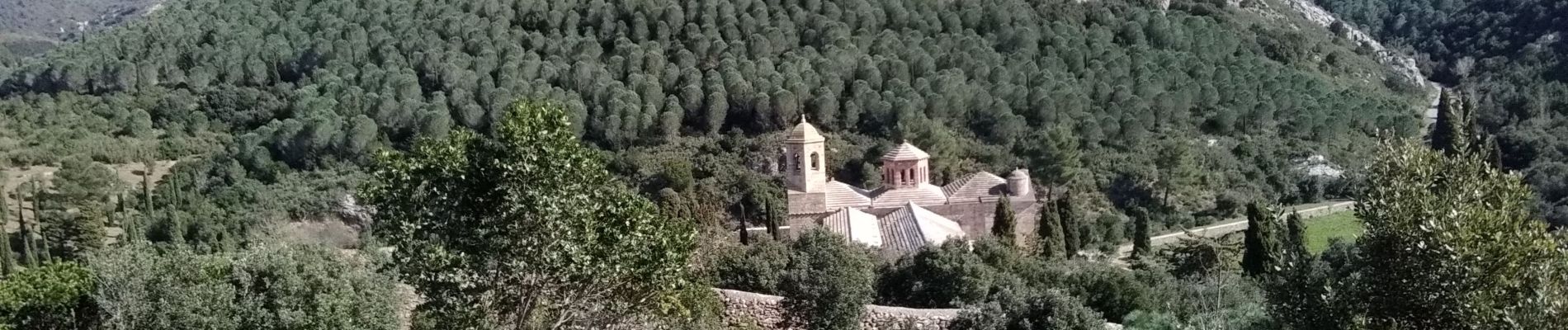 Tour Wandern Narbonne - Fontfroide trail - Photo