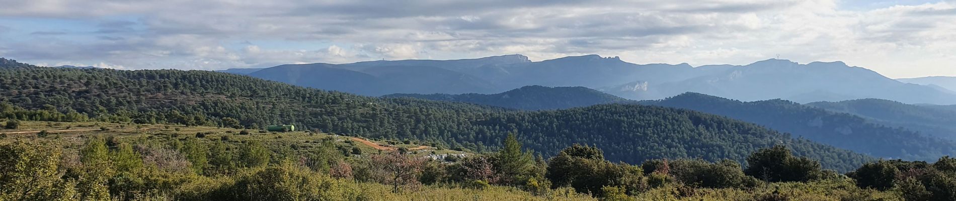 Tocht Stappen Peynier - Le Garri Circuit - Photo