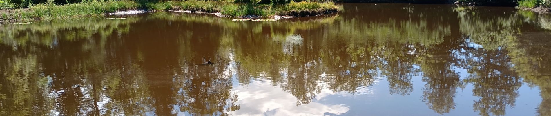 Tour Wandern Beulotte-Saint-Laurent - TDF1 - Photo