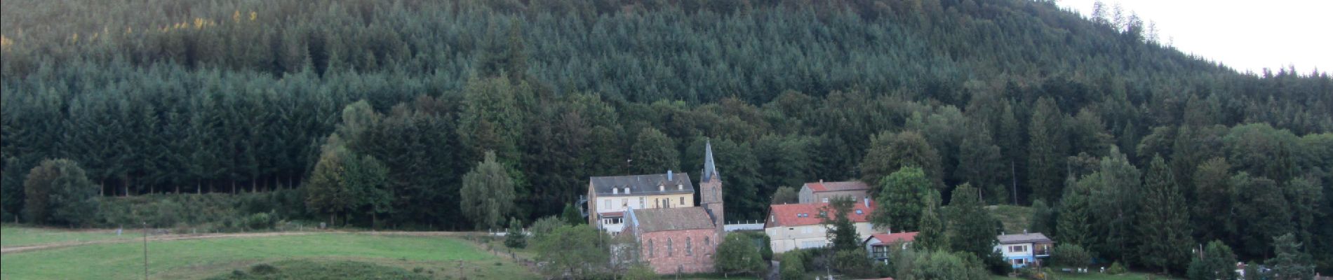 Trail Horseback riding Urbeis - Climont - Ban de Laveline - Photo