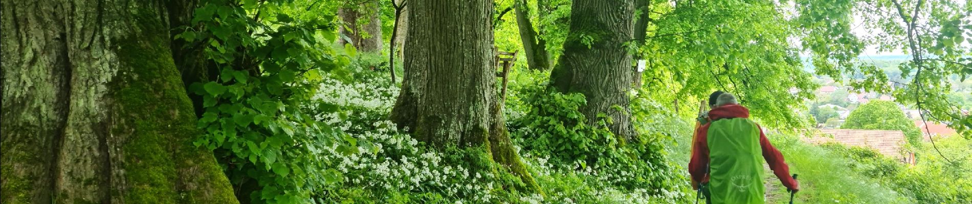 Trail Walking Riedisheim - Mulhouse / Ferrette..02/05/2024..les Marcheurs - Photo