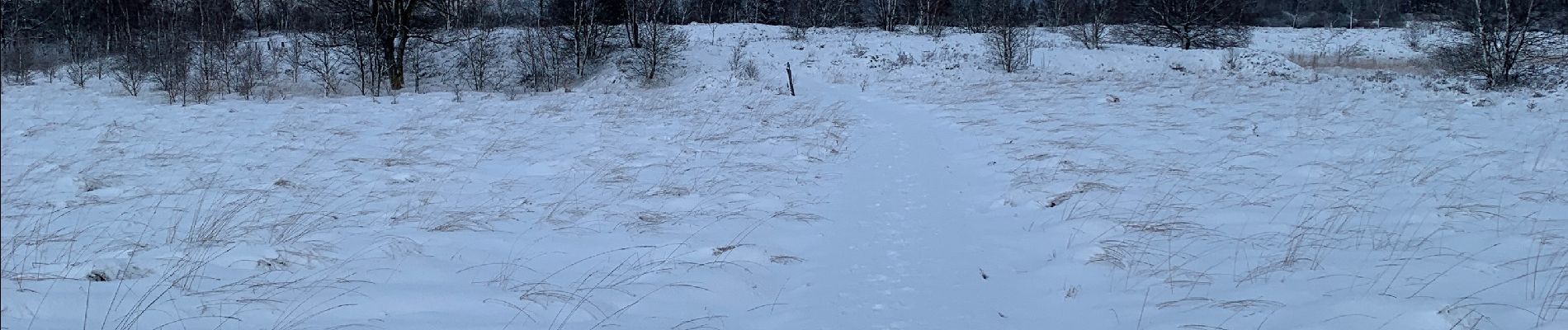 Tocht Stappen Waimes - Fagnes 1er jour - Photo