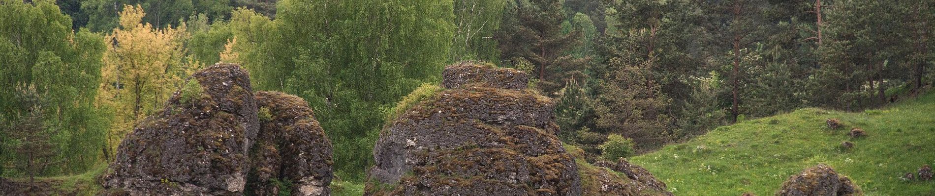 Tour Zu Fuß Alfeld - Rundweg Alfeld–Windloch - Photo