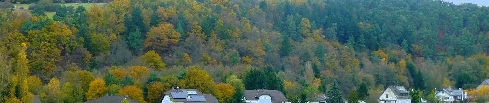 Tour Zu Fuß Mengerschied - Traumschleife Soonwald - Photo