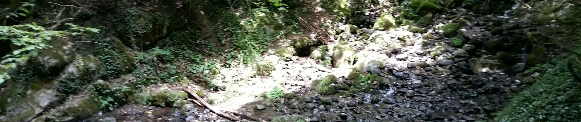 Tour Laufen Etsaut - ETSAUT Chemin de la mâture col d Arras - Photo