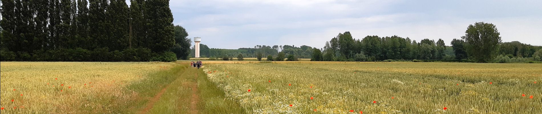 Randonnée Marche Marchiennes - Marchiennes - Photo