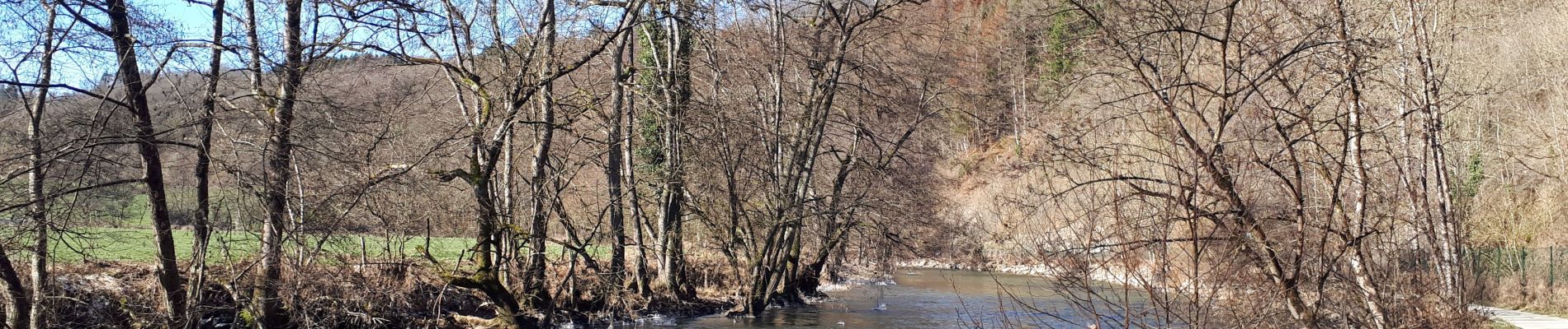 Tocht Stappen Durbuy - Barvaux-Durbuy Boucle GR - Photo