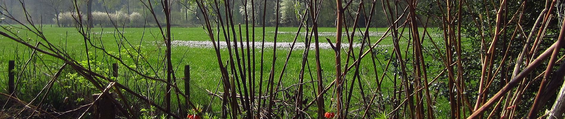 Tour Zu Fuß Hof van Twente - WNW Twente - Stokkum - rode route - Photo