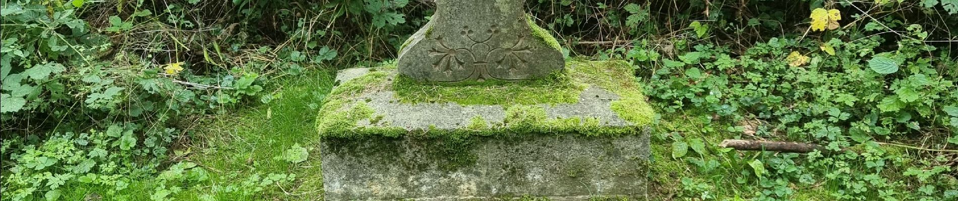 Randonnée Marche Sivry-Rance - croix Norbert - Photo