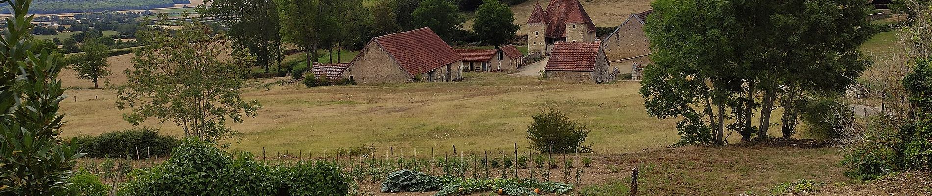 Randonnée A pied Missery - La Montagne de Missery - Photo