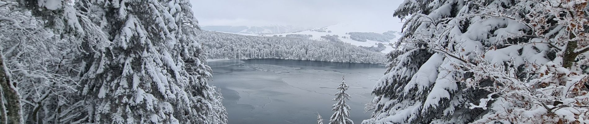 Trail Nordic walking Besse-et-Saint-Anastaise - lac pavin 02/01/2021 - Photo