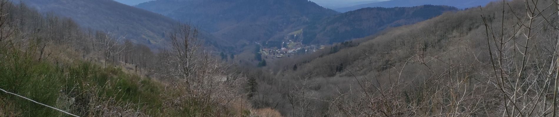 Trail Walking Bourbach-le-Haut - Bourbach la Fourmi - Photo