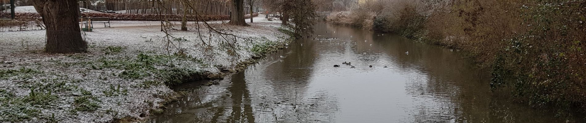 Excursión Senderismo Maastricht - Maastricht 🎄🎅⭐ - Photo