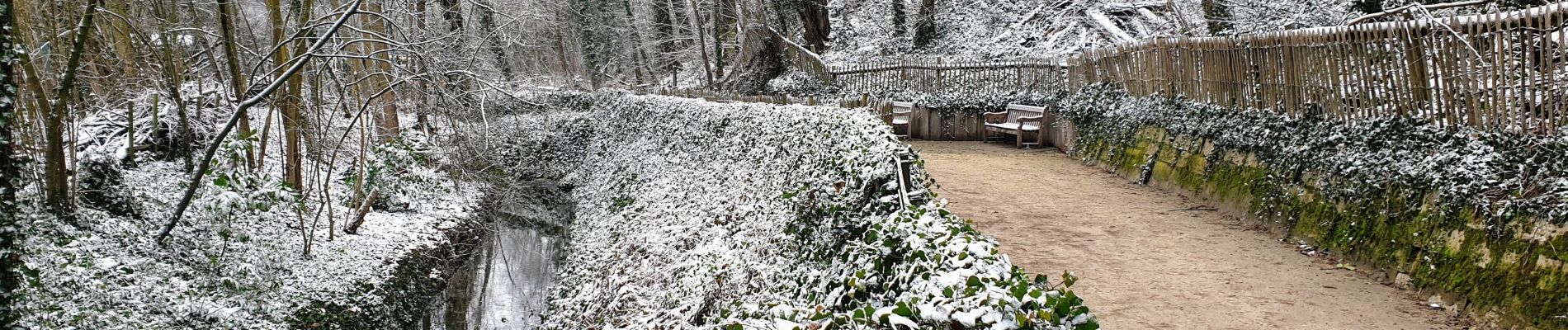 Tour Wandern Auderghem - Oudergem - Rouge-Cloître - Parc de Woluwe - Photo