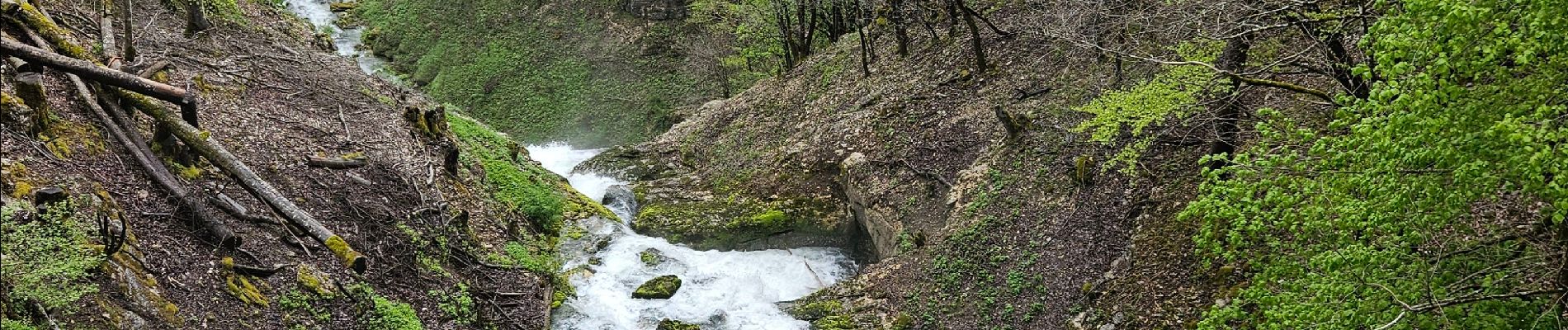 Trail Walking Foncine-le-Bas - Autour de la cascade du Bief de la Ruine 🥾 - Photo