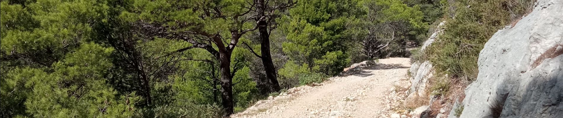 Randonnée Marche Toulon - le Mont Faron 2 - Photo