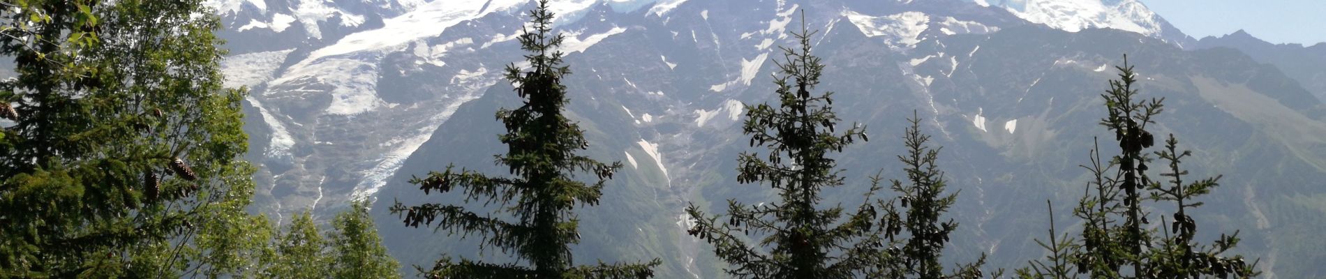 Trail Walking Les Houches - AIGUILLETTE DES HOUCHES - Photo