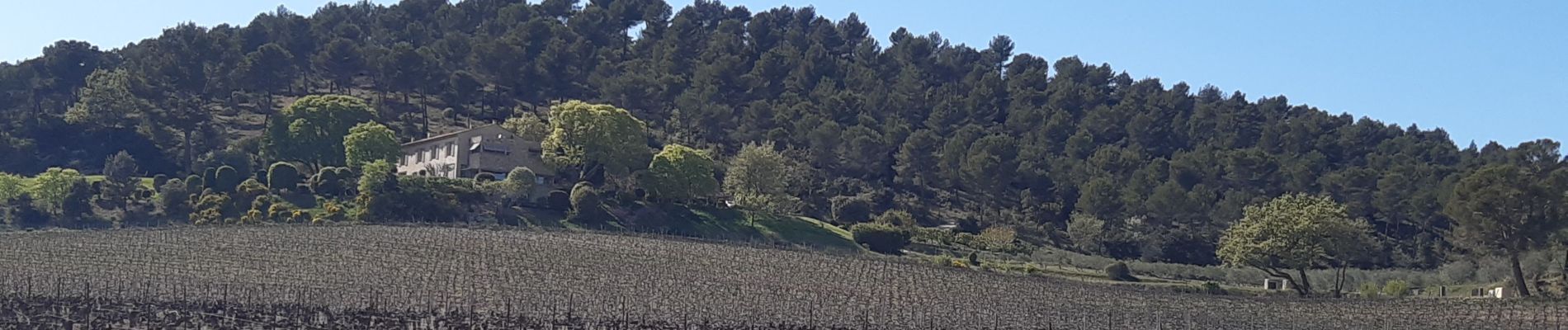 Tocht Stappen Villelaure - Villelaure Hubac Collet Blanc - Photo