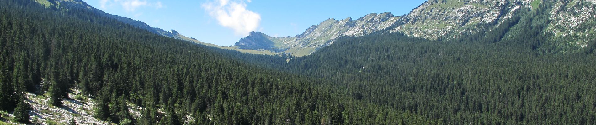 Tour Wandern Entremont-le-Vieux - Traversée des Hauts de Chartreuse - Photo