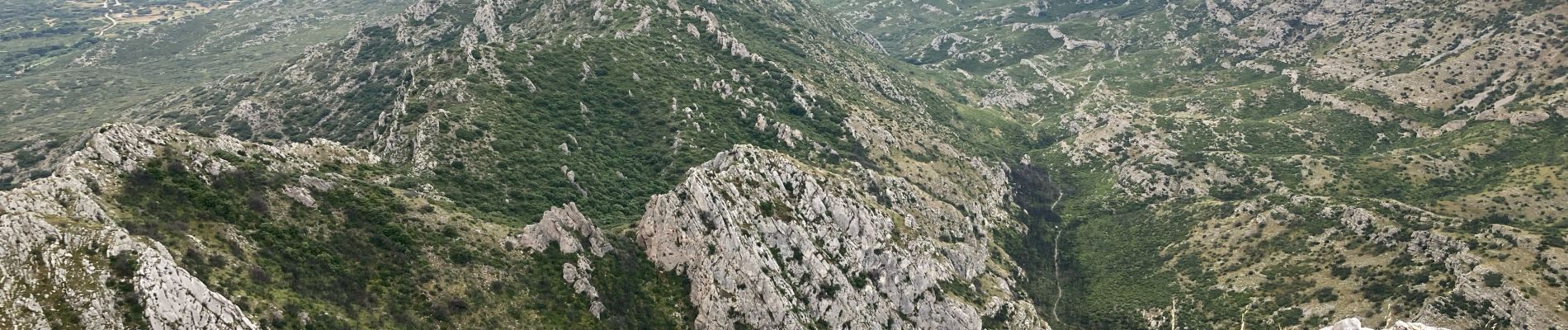 Tour Wandern Eyguières - La tour de guet - Photo