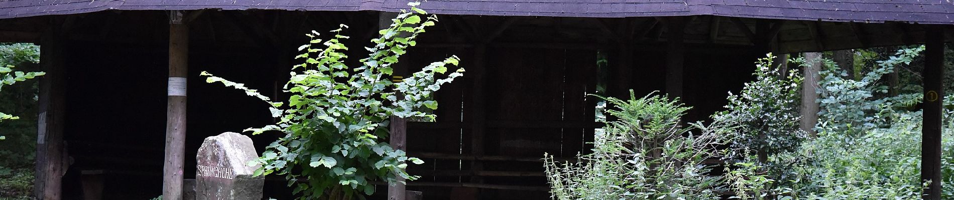 Percorso A piedi Sconosciuto - Wanderweg Königstuhl 2 - Photo