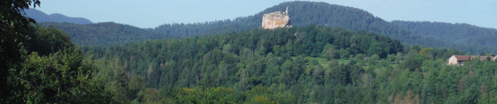 Trail Walking Lembach - Autour du Fleckenstein - Photo