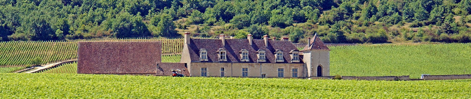 Randonnée A pied Bouze-lès-Beaune - Sentier des Biques - Photo