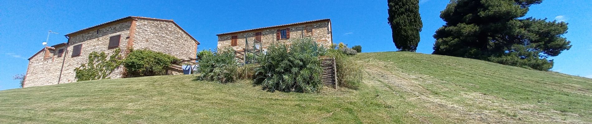 Trail Walking San Quirico d'Orcia - San Quirico /  Gallina - Photo