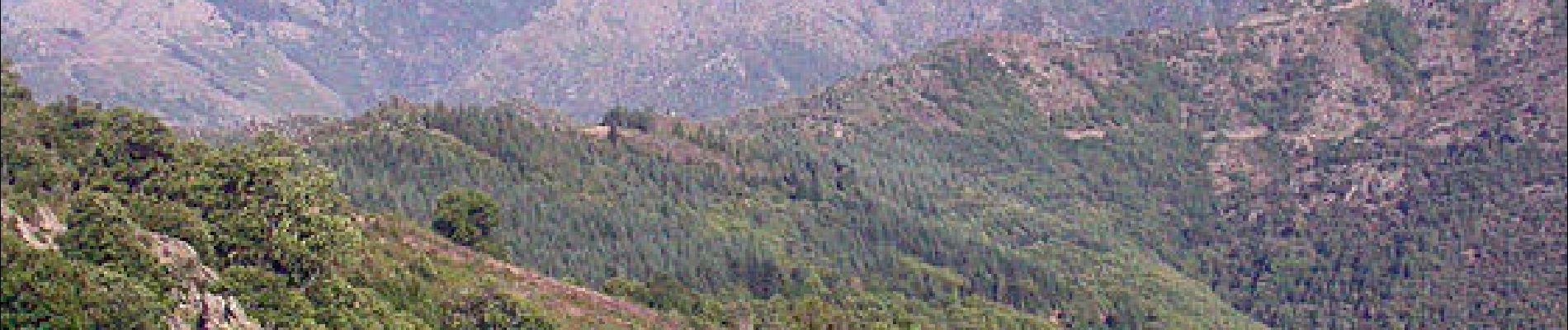 Tocht Stappen Val-d'Aigoual - 4000 marches retour Aire de Côte - Photo