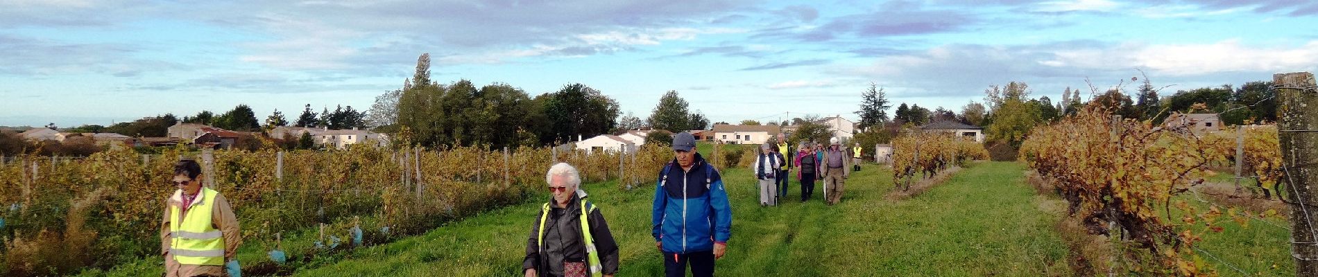 Trail Walking Étaules - Ile d'Etaules 17 - Photo