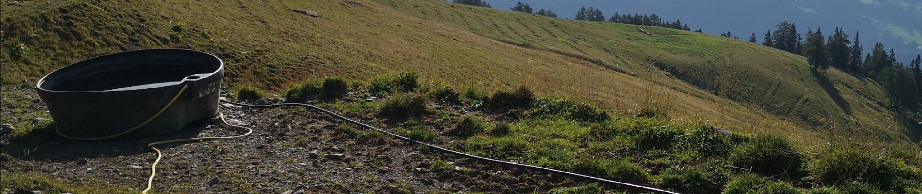 Tocht Noords wandelen Arbaz - tour des Alpages  - Photo